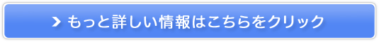 yZyfgPREMIUMz̔TCg